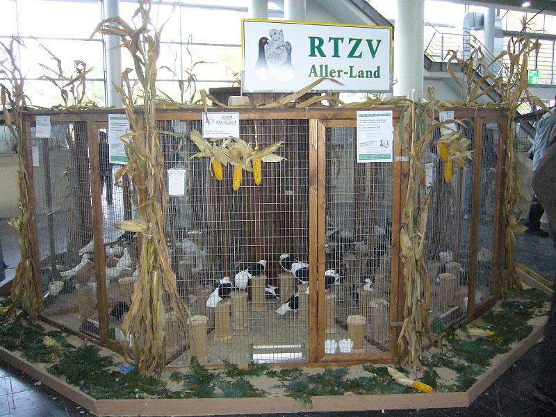 Hannover 2008 022.jpg - Hannover 2008